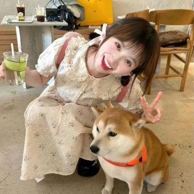 未完戏